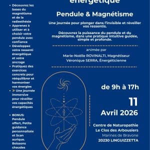 La Boîte à Outils Énergétique: Pendule & Magnétisme